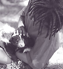 Family-Advent-Day-girl-skunk Family-Advent-Day-girl-skunk